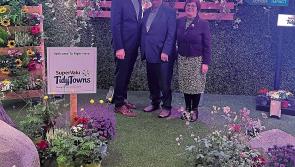 Tarmonbarry Tidy Towns represented at Croke Park