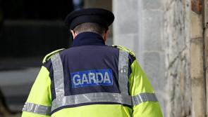 Two men arrested following Dublin supermarket robbery