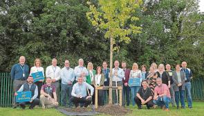 Abbott Longford celebrates twenty years of excellence 
