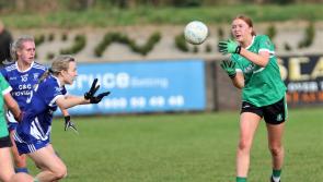 Longford Senior ‘B’ champions Clonguish lose out to Shelmalier (Wexford) 

