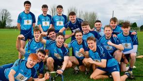 Longford Slashers pip Wolfe Tones for the U-20 hurling title 