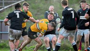 Longford Rugby Club suffer another setback in relegation battle

