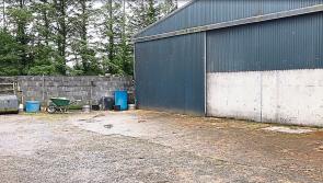 Managing rainwater on farms in Longford