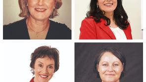 Free election training from See Her Elected in Longford Women’s Link