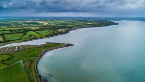 Feeling the January Blues? Don’t forget about Ireland’s newest bank holiday! 

