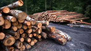 Forestry Advisory Clinic to take place in Longford
