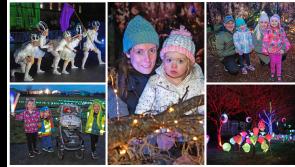 PICTURES | The Light Fantastic - Thousands enjoy magical Longford Lights Festival