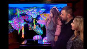Magical Longford Lights Festival attracts over 11,000 visitors