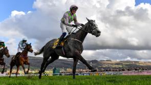 The €10 Cheltenham tips accumulator that could win you €250