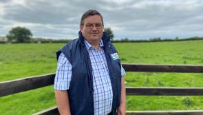 Longford Farming: ICSA expresses frustration over  TB strategy