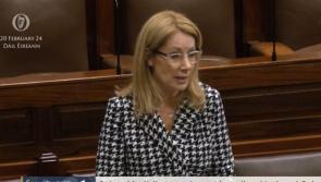 Josepha Madigan steps down as Minister of State in second shock resignation 