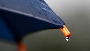 Met Éireann data confirms March was one of the wettest on record