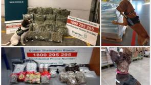 Detector dogs sniff out €1.2m worth of drugs and designer goods destined for Irish addresses