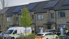 Gardaí continue investigation into murder at Naas housing estate 