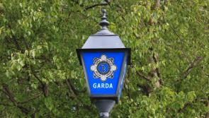 Man in Longford who stuck fingers up at gardaí should have downed Easter eggs instead of alcohol