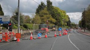 Battery Road in Longford town ‘a nightmare’ and has motorists 'hearts broken' 