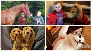 PICTURES | Longford people's precious pets and furry friends on World Veterinary Day