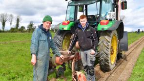 All the results from top class County Longford Ploughing Championships
