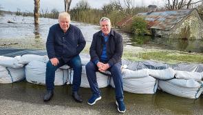 Longford Euro elections: Community at heart of Mullooly campaign