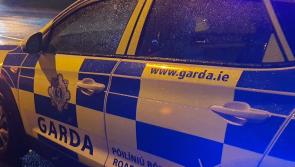 Trio to appear in court after Longford garda&iacute; seize weapons during car search