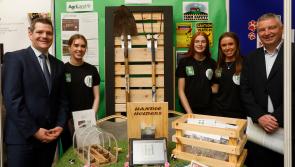 Enterprising Longford students make their mark on national stage
