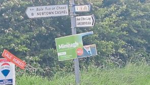 Longford Elections: Damaging election posters slammed as ‘immature’ 
