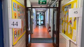 Steady turnout as Longford voters cast ballot