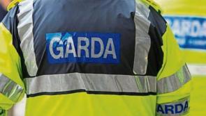 Shocking seizure of €120,000 worth of MDMA as two young men are arrested in Co Mayo