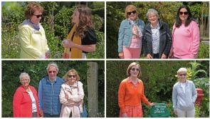 PICTURES | Lots of fun and big crowds at Drumlish garden open day in aid of Longford Hospice Homecare