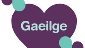 Longford pupils recognised for their grá of Gaeilge