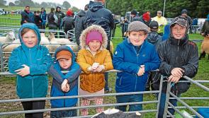Longford Summer: Launch of the 73rd Granard Agricultural Show