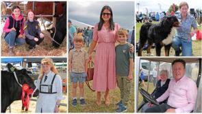 'Massive' Longford Agricultural Show is a fantastic day out for all the community 