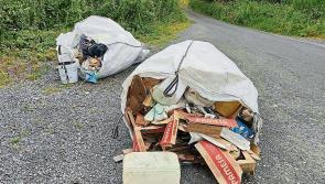 Dumping disgrace! Longford community volunteers outraged by illegal fly tipping 