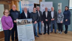 Exploring challenges and opportunities while developing an action plan for Ballymahon