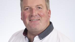 Longford Farming: Factory demand for cattle increases 