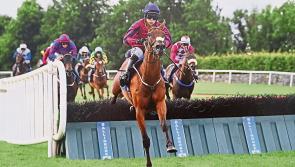 Longford mare Kilashee in flying form to maintain impressive winning streak 

