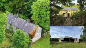 PICTURES: Longford fixer-upper farm cottage on over 13 acres on sale for just &euro;165k