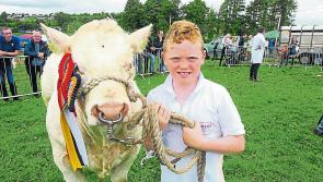 Entries closing for Mohill's  Show