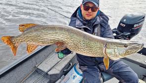 Longford angling: Details of King of the Lake 2024 International Pike Festival