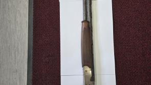Gardaí appeal for information on recovery firearm in Midlands