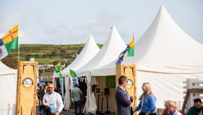 Three Longford producers shortlisted for The Blas na hÉireann 2024 finals