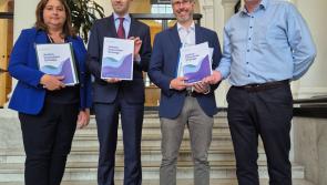  Longford Senator welcomes Autism Innovation Strategy 