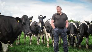 Longford Farming: ICMSA say strong beef trade being undermined by 'mixed messaging' from factories 