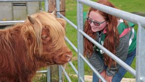 Large crowds in north Longford enjoy top class ploughing and plenty of family entertainment 