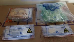 Longford Garda&iacute; disrupt planned cannabis grow farm