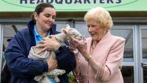 'I'd wear high heels if I still could' - Queen of Ploughing Anna May McHugh says leave wellies at home