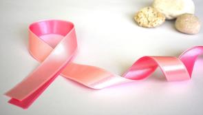 'Swim in Pink' returns to Longford as the Ladies of the Lake host their second annual fundraiser for Breast Cancer Research