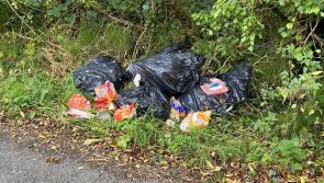 Strong criticism of illegal dumping incidents in scenic Longford area