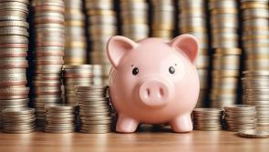 Longford firms urged to register for €4,000 scheme 