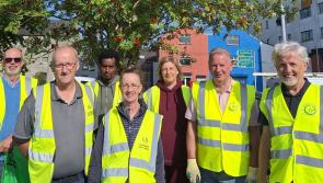 Longford and Abbeyshrule celebrating gold medal SuperValu TidyTowns success